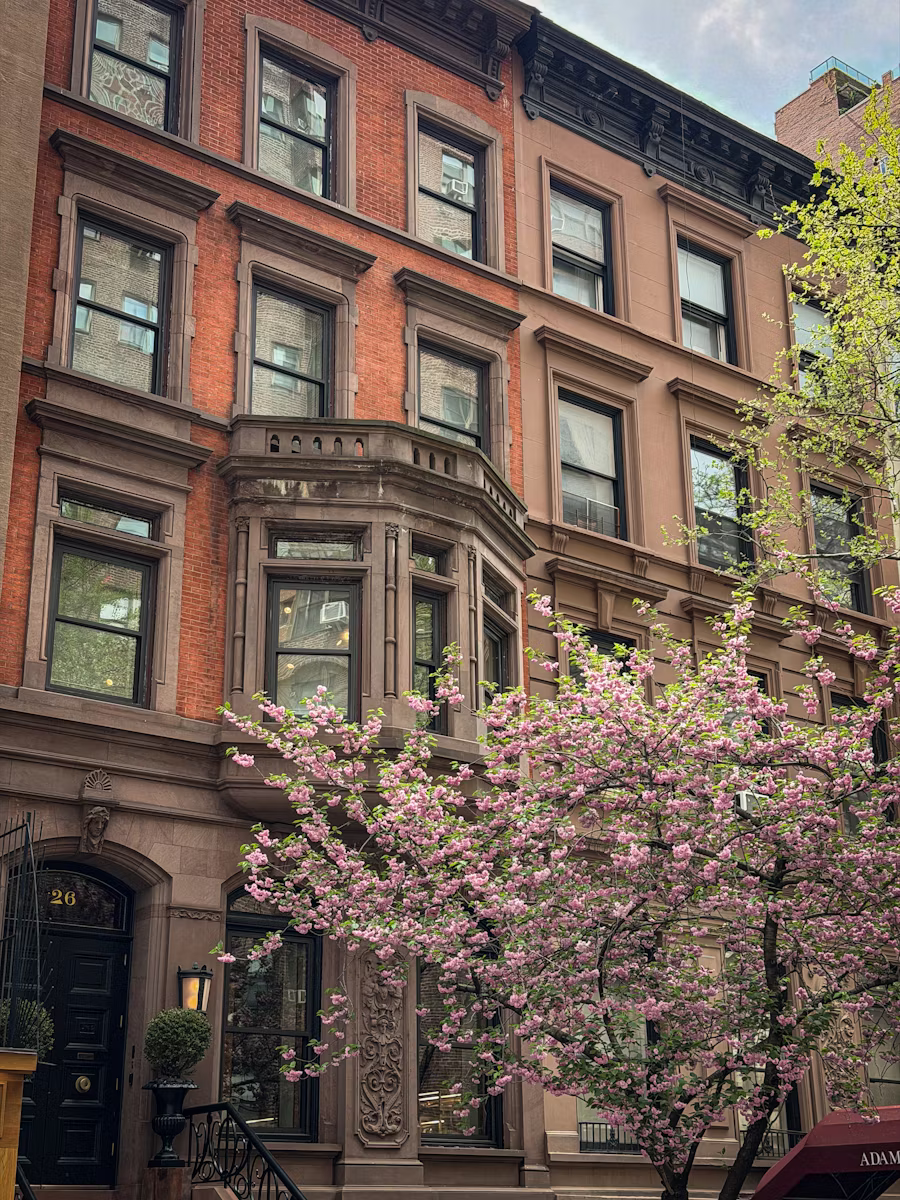 A cherry blossom tree in full bloom against a row of historic brick townhomes on a spring afternoon